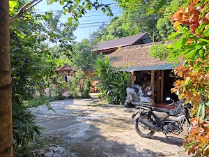 Homestay field (bungalow & tour & motorbikes rental) place picture
